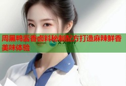 周黑鸭酱香卤料秘制配方打造麻辣鲜香美味体验