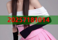 口是心非姐姐黑料揭秘平台助你轻松发现真相