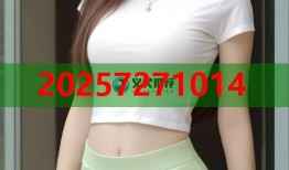 周黑鸭酱香卤料秘制配方打造麻辣鲜香美味体验