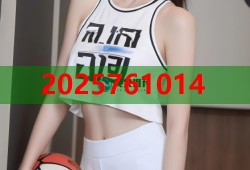 光学镜头黑料精选平台 高精度材料直供与应用解析