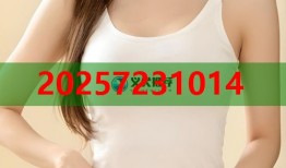 周黑鸭酱香卤料秘制配方打造麻辣鲜香美味体验