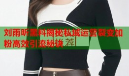 刘雨昕黑料揭秘私域运营裂变加粉高效引流秘诀