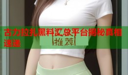 古力拉扎黑料汇总平台揭秘真相速递