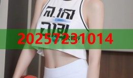 周黑鸭辣卤料包秘制配方轻松打造正宗风味