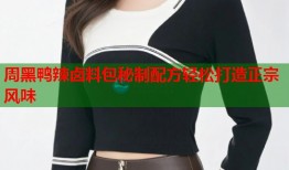 周黑鸭辣卤料包秘制配方轻松打造正宗风味