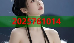 光学黑料模具设计高精度成形与应用平台