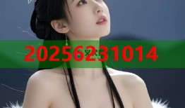 九一黑料破解平台极速解锁隐秘信息实用工具